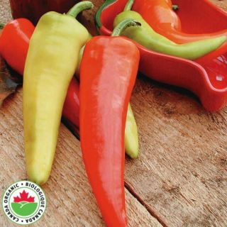 Hungarian Hot Wax Organic Pepper Thumbnail